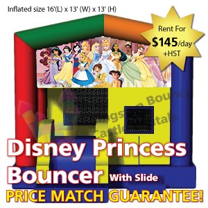 Kingston Bouncy Castle Rentals - Separate Castles 2014 - Disney Princess Bouncer With Slide
